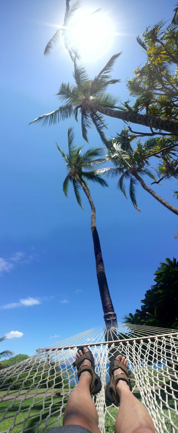 20130909_112706.jpg image